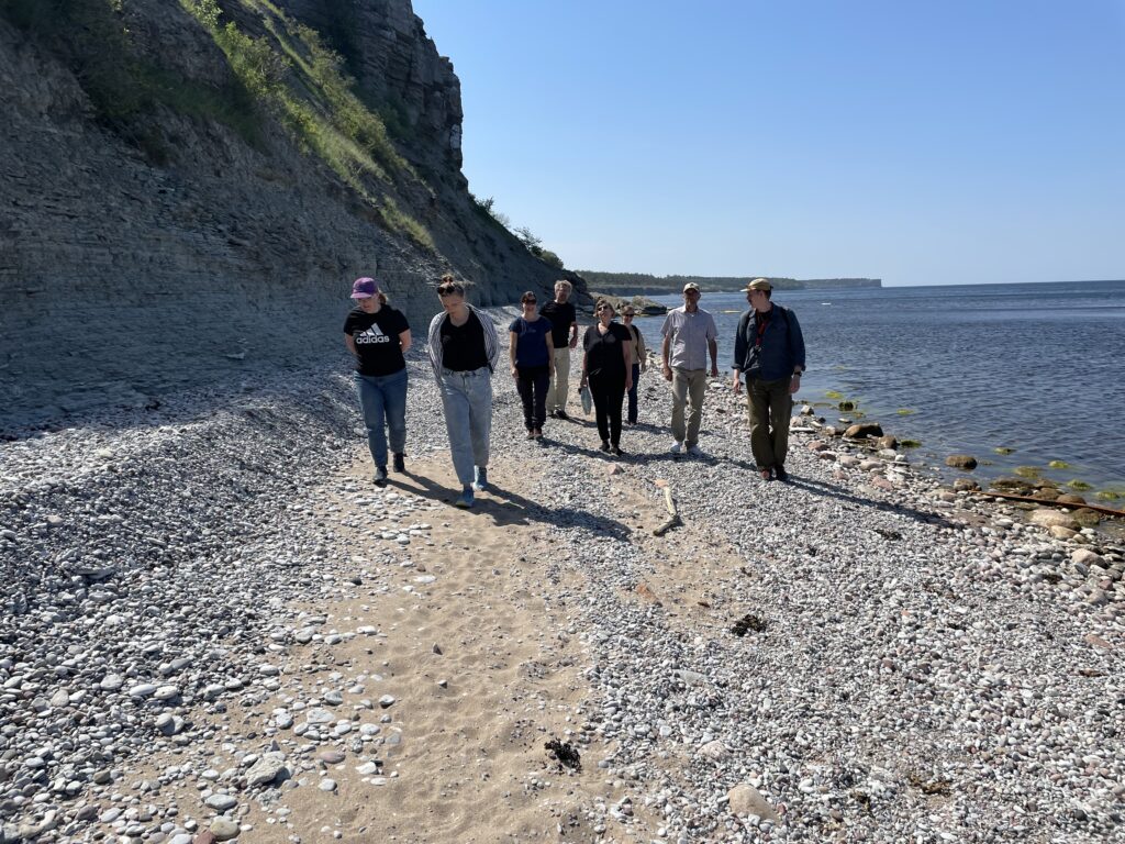 Foto över kust på Gotland med personer som vandrar längs stenstranden.